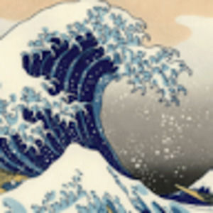 Meet your Posher, Ella